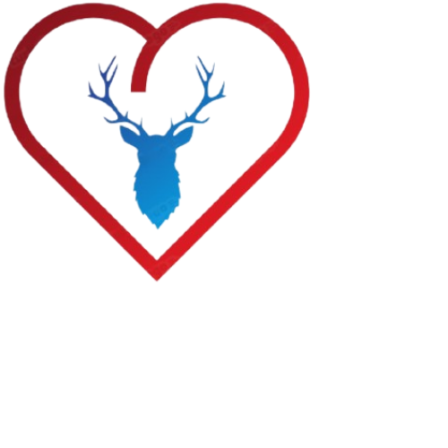 Mrdeer Akademi